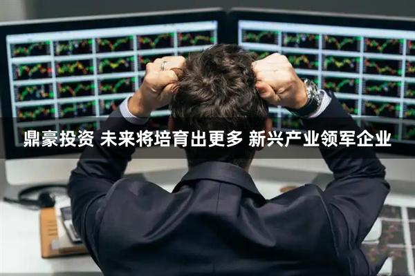 鼎豪投资 未来将培育出更多 新兴产业领军企业