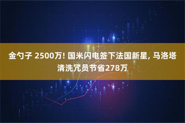 金勺子 2500万! 国米闪电签下法国新星, 马洛塔清洗冗员节省278万