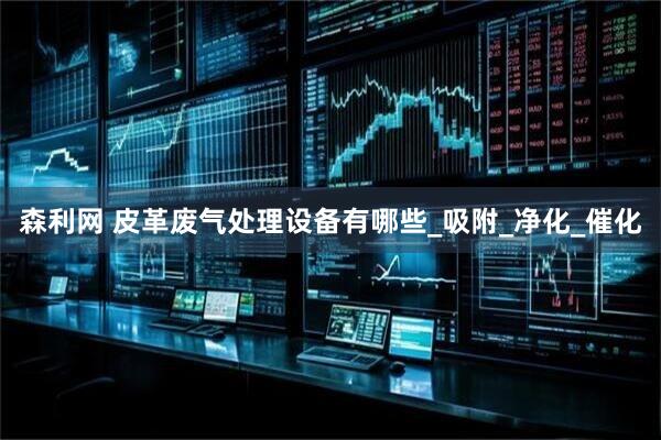 森利网 皮革废气处理设备有哪些_吸附_净化_催化